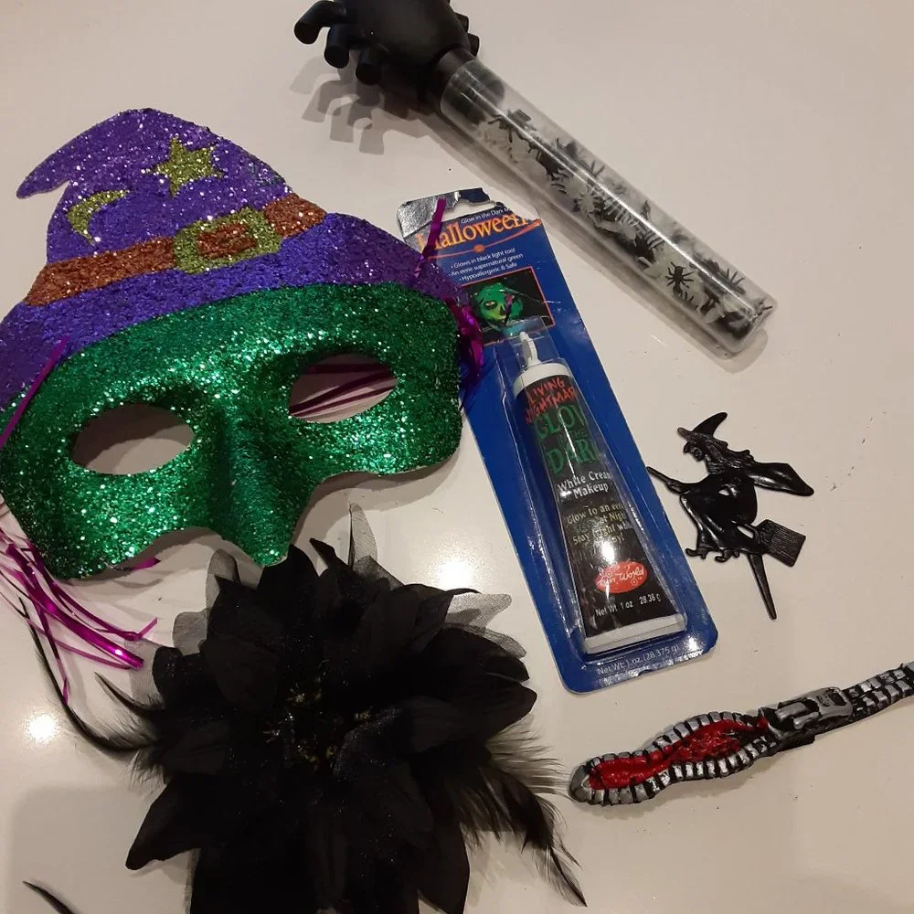 Wicked Witch with Wig Halloween costume- comes with extras